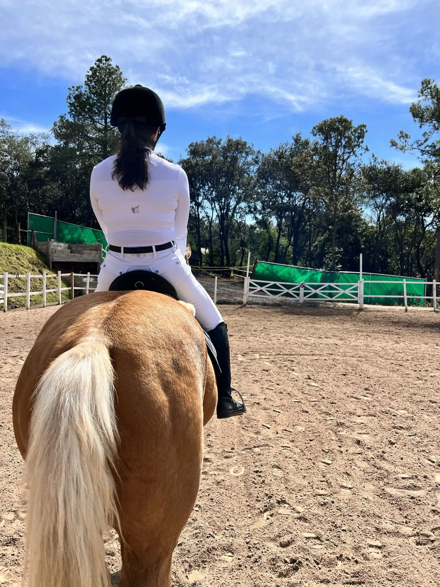 Equinoterapia